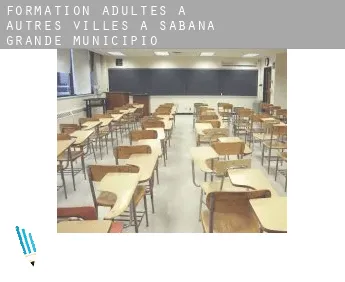 Formation adultes à  Autres Villes à Sabana Grande Municipio