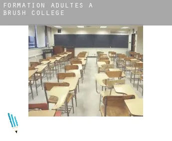 Formation adultes à  Brush College