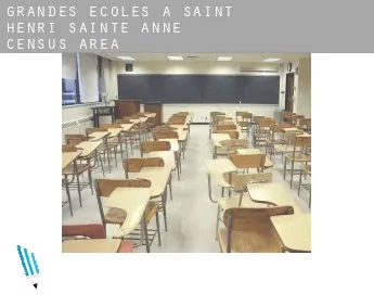 Grandes écoles à  Saint-Henri-Sainte-Anne (census area)