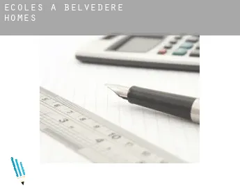 Écoles à  Belvedere Homes
