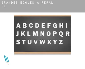Grandes écoles à  Peral (El)