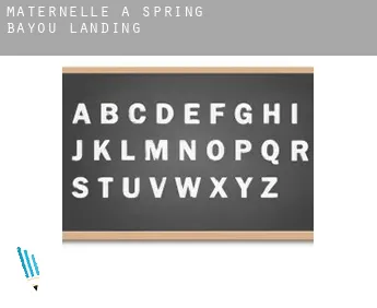 Maternelle à  Spring Bayou Landing