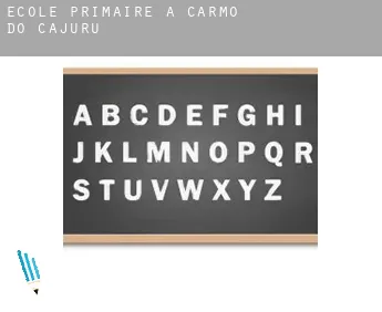 École primaire à Carmo do Cajuru