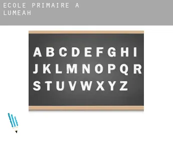 École primaire à  Lumeah