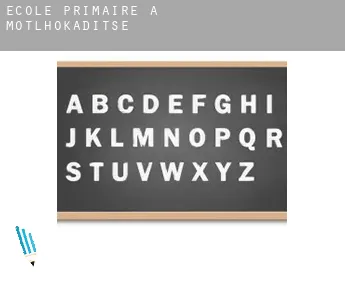 École primaire à  Motlhokaditse