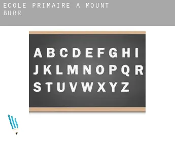 École primaire à  Mount Burr