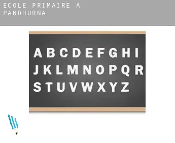 École primaire à  Pāndhurna