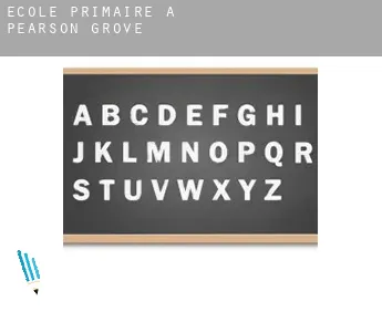 École primaire à  Pearson Grove