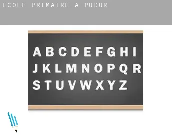 École primaire à  Pudūr