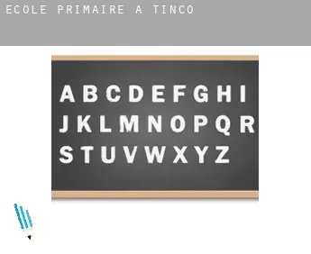 École primaire à  Tinco