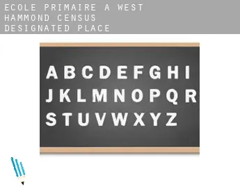 École primaire à  West Hammond