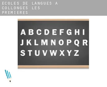 Écoles de langues à  Collonges-lès-Premières