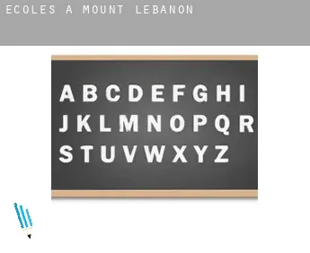 Écoles à  Mount Lebanon