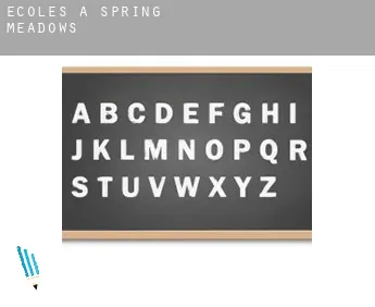 Écoles à  Spring Meadows