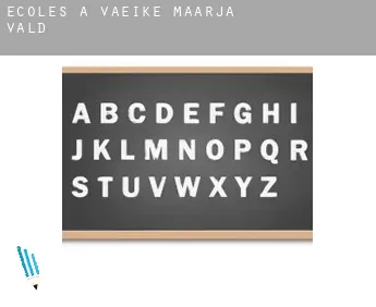 Écoles à  Väike-Maarja vald