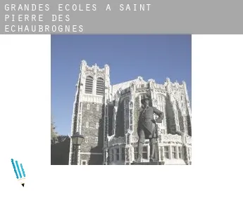 Grandes écoles à  Saint-Pierre-des-Échaubrognes