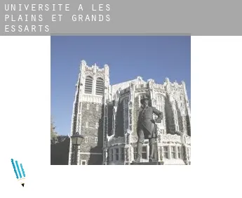 Universite à  Les Plains-et-Grands-Essarts