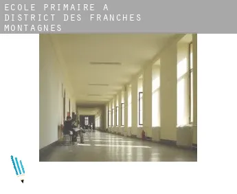 École primaire à  District des Franches-Montagnes