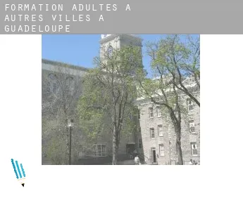 Formation adultes à  Autres Villes à Guadeloupe