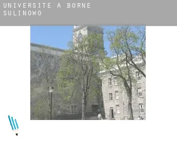 Universite à  Borne Sulinowo