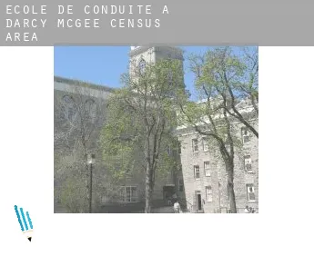 École de conduite à  D'Arcy-McGee (census area)