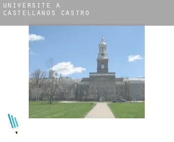 Universite à  Castellanos de Castro