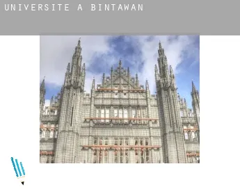 Universite à  Bintawan