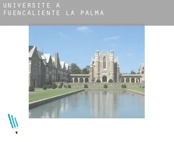 Universite à  Fuencaliente de la Palma