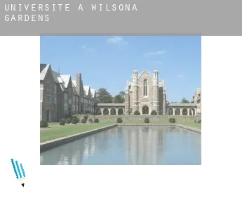 Universite à  Wilsona Gardens