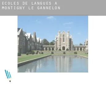 Écoles de langues à  Montigny-le-Gannelon