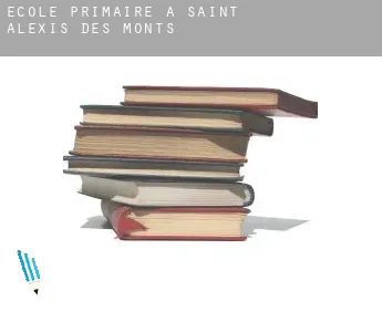 École primaire à  Saint-Alexis-des-Monts