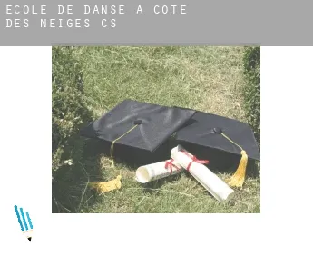 École de danse à  Côte-des-Neiges (census area)