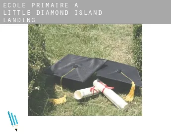 École primaire à Little Diamond Island Landing