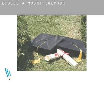 Écoles à  Mount Sulphur