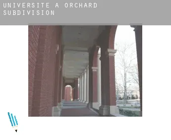 Universite à  Orchard Subdivision