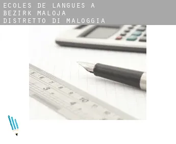 Écoles de langues à  Bezirk Maloja / Distretto di Maloggia