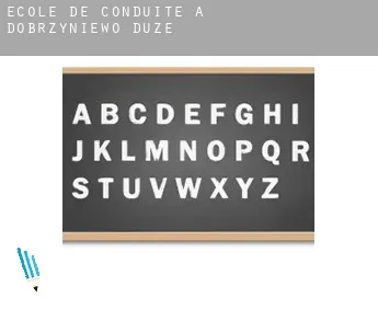 École de conduite à  Dobrzyniewo Duże