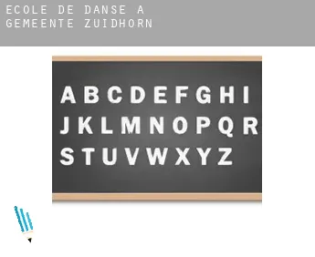 École de danse à  Gemeente Zuidhorn