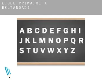 École primaire à  Beltangadi