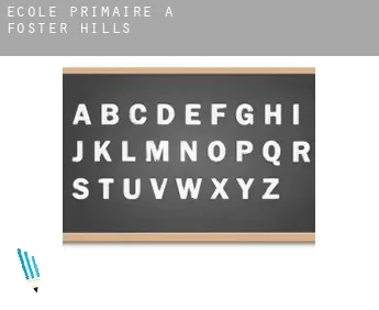 École primaire à  Foster Hills