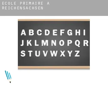 École primaire à  Reichensachsen