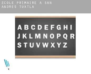 École primaire à  San Andrés Tuxtla