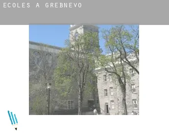Écoles à  Grebnevo