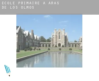 École primaire à Aras de los Olmos
