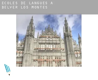 Écoles de langues à  Belver de los Montes