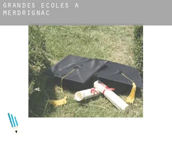 Grandes écoles à  Merdrignac