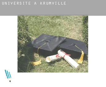 Universite à  Krumville