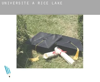 Universite à  Rice Lake
