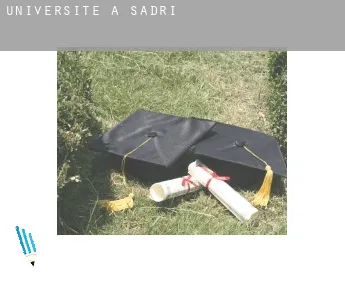 Universite à  Sādri
