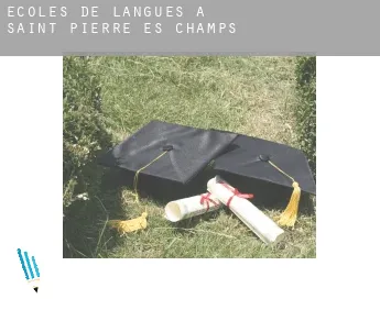 Écoles de langues à  Saint-Pierre-es-Champs